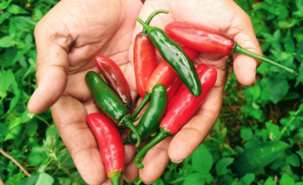 Screen Shot 2021-11-24 at 4.52.40 PM Screen Shot 2021-11-24 at 4.52.40 PM