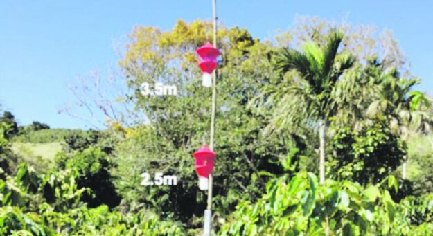 4BBKV2ZQ5FAC5D2UOVV3VFRALQ