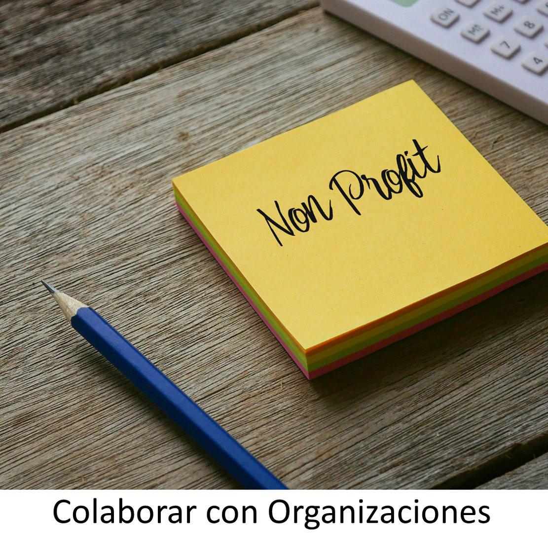 opai-imagenes-10-b opai-imagenes-10-b