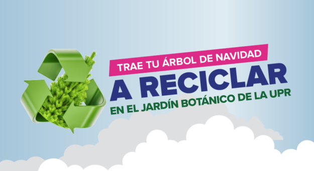 Screen Shot 2022-01-07 at 4.39.09 PM