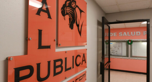 Salud Pública