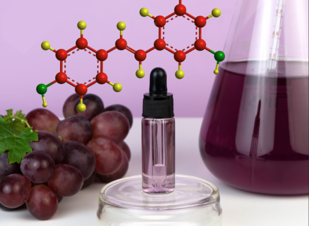 Screen Shot 2022-02-24 at 3.33.55 PM Screen Shot 2022-02-24 at 3.33.55 PM