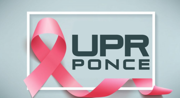 Screen Shot 2022-02-28 at 11.42.29 AM