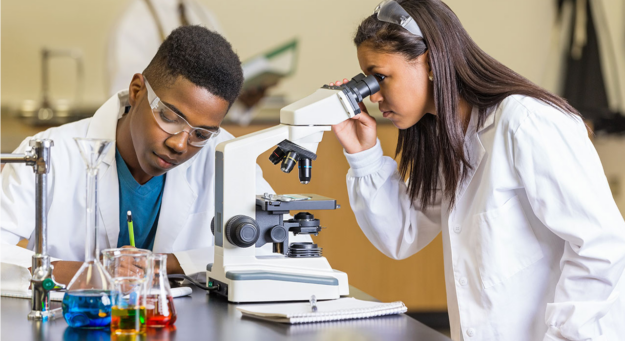 Programa de experiencia de investigación dirigido a maestros de ciencias de escuelas intermedia y superior