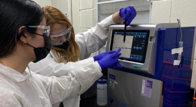 En uno de sus estudios publicados en la revista Medicine, la doctora y sus colaboradores encontraron que los puertorriqueños que padecen de asma tienen una susceptibilidad 300% mayor a la activación del receptor. (Suministrada)