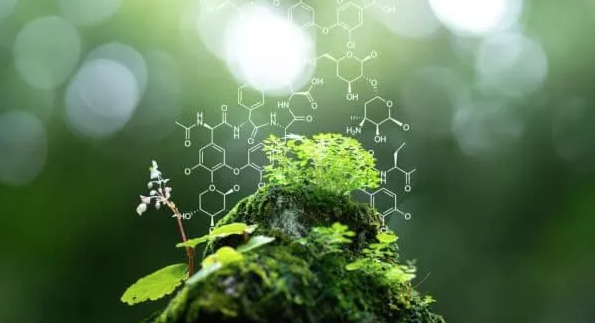 Ciencias Ambientales