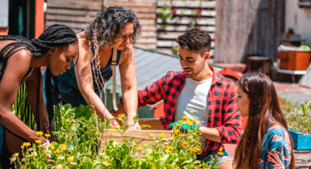 Screen Shot 2022-04-26 at 12.19.33 PM