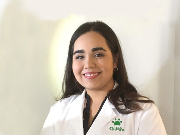 IMG-5963 (2) IMG-5963 (2)