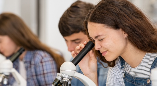 Programa de Verano-UPRB