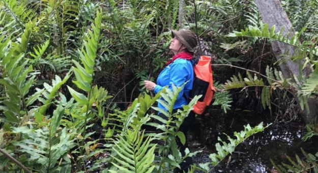 Screen Shot 2022-06-27 at 9.35.18 AM