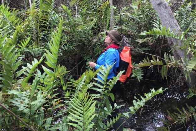 Screen Shot 2022-06-27 at 9.35.18 AM Screen Shot 2022-06-27 at 9.35.18 AM