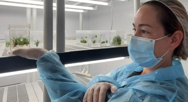 Screen Shot 2022-08-12 at 4.09.35 PM