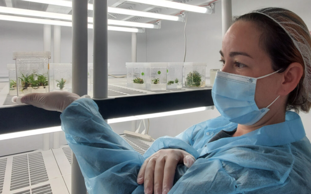 Screen Shot 2022-08-12 at 4.09.35 PM Screen Shot 2022-08-12 at 4.09.35 PM