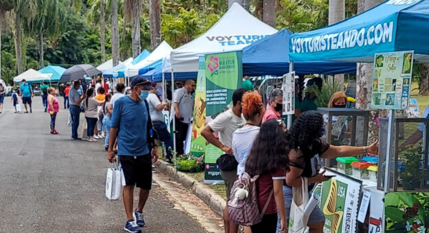 Primera Feria de Polinizadores