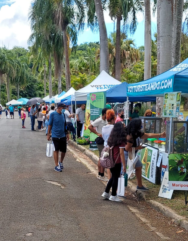 Primera Feria de Polinizadores Primera Feria de Polinizadores