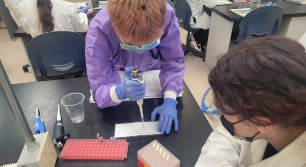 Curso Nanotecnologia Dra Keyla Soto 6