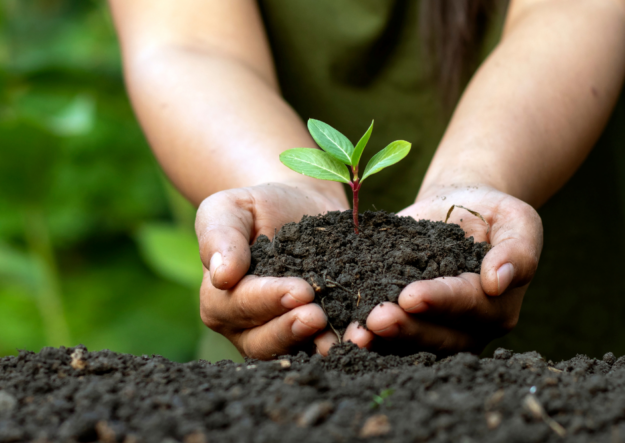 Medio Ambiente Medio Ambiente