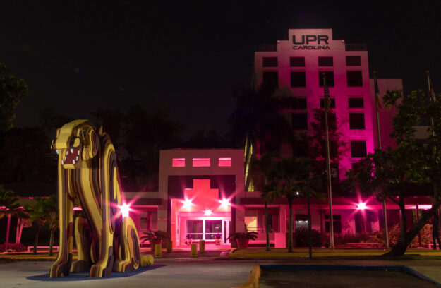 Imagen-UPR Carolina se ilumina de rosa (2) Imagen-UPR Carolina se ilumina de rosa (2)