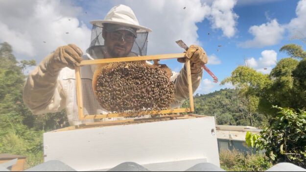 UPR DE UTUADO ES RECONOCIDA EN ESTADOS UNIDO UPR DE UTUADO ES RECONOCIDA EN ESTADOS UNIDO