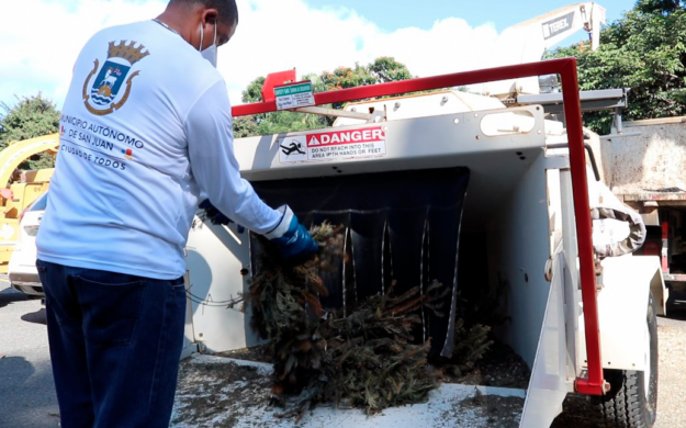 Recicla tu árbol de Navidad en el Jardín Botánico de la UPR