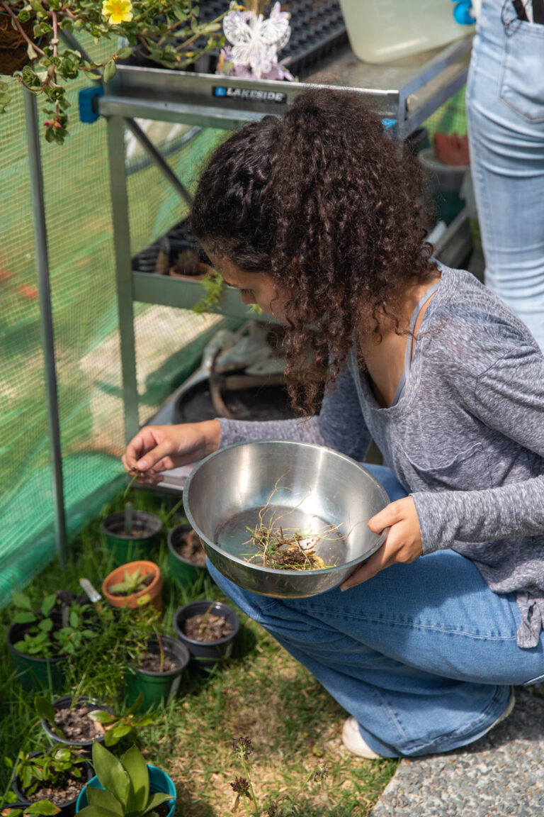 Una estudiante en cuclillas recogiendo plantas en un plato hondo de metal
