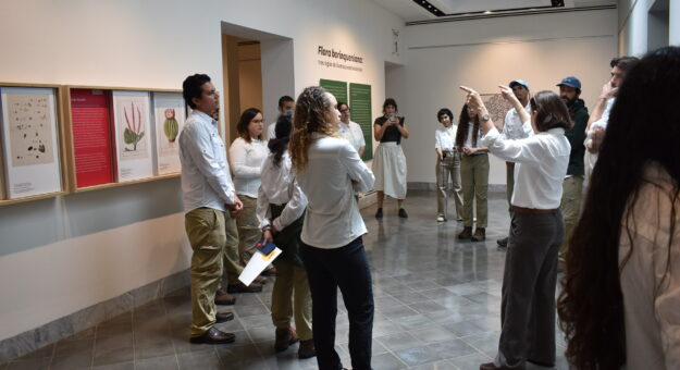 MUSA se una al Día Internacional de los Museos con exposiciones que resaltan el medioambiente