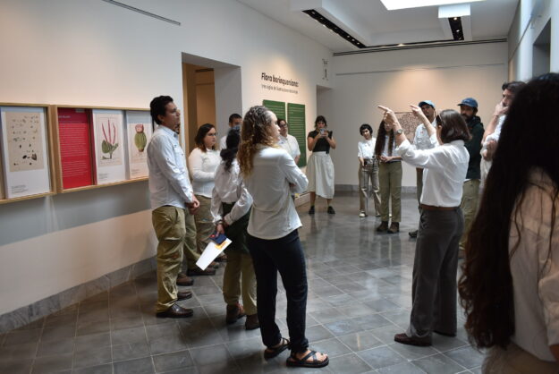 MUSA se una al Día Internacional de los Museos con exposiciones que resaltan el medioambiente MUSA se una al Día Internacional de los Museos con exposiciones que resaltan el medioambiente