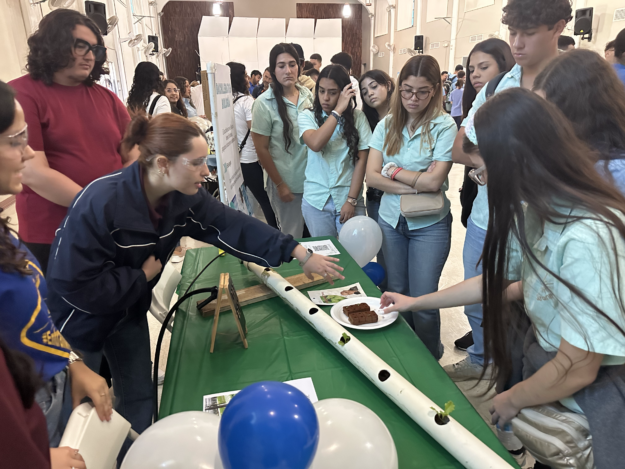 Estudiantes de escuela superior son sumergidos en proyectos de ciencias Estudiantes de escuela superior son sumergidos en proyectos de ciencias