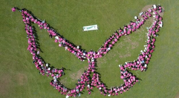 Los participantes de la octava edición de la Marcha Rosada en el Recinto Universitario de Mayagüez formaron la figura de una mariposa como símbolo de esperanza en la lucha contra el cáncer de seno.