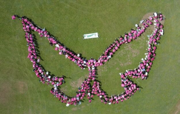 Foto 1 Marcha Rosada en el RUM Los participantes de la octava edición de la Marcha Rosada en el Recinto Universitario de Mayagüez formaron la figura de una mariposa como símbolo de esperanza en la lucha contra el cáncer de seno.