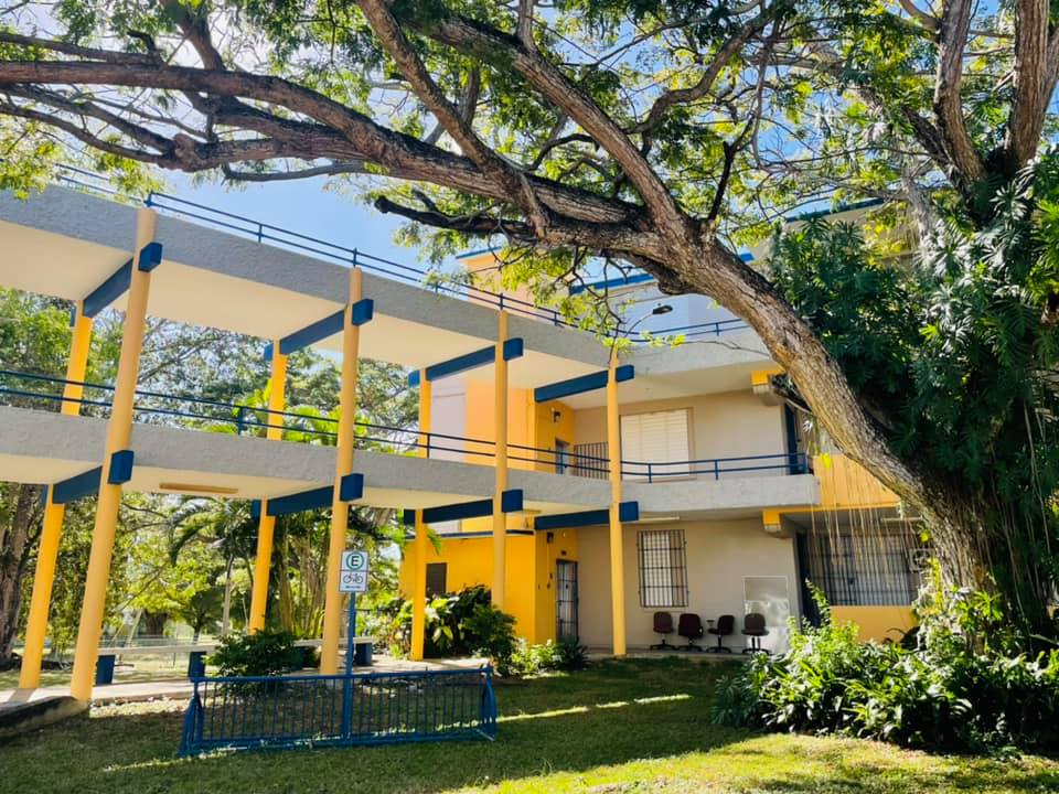 Paseo-UPR Aguadilla-1 Foto de una sección del Paseo del Departamento de Ciencias Naturales de la UPR en Aguadilla.