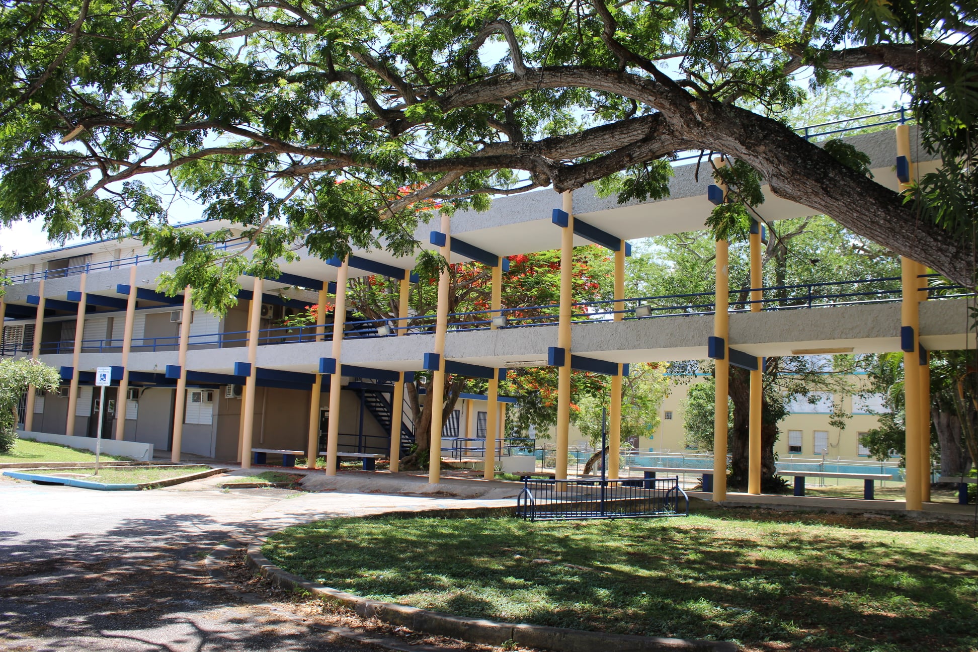 Paseo-UPR Aguadilla-2 Foto de otra sección del Paseo del Departamento de Ciencias Naturales de la UPR en Aguadilla.