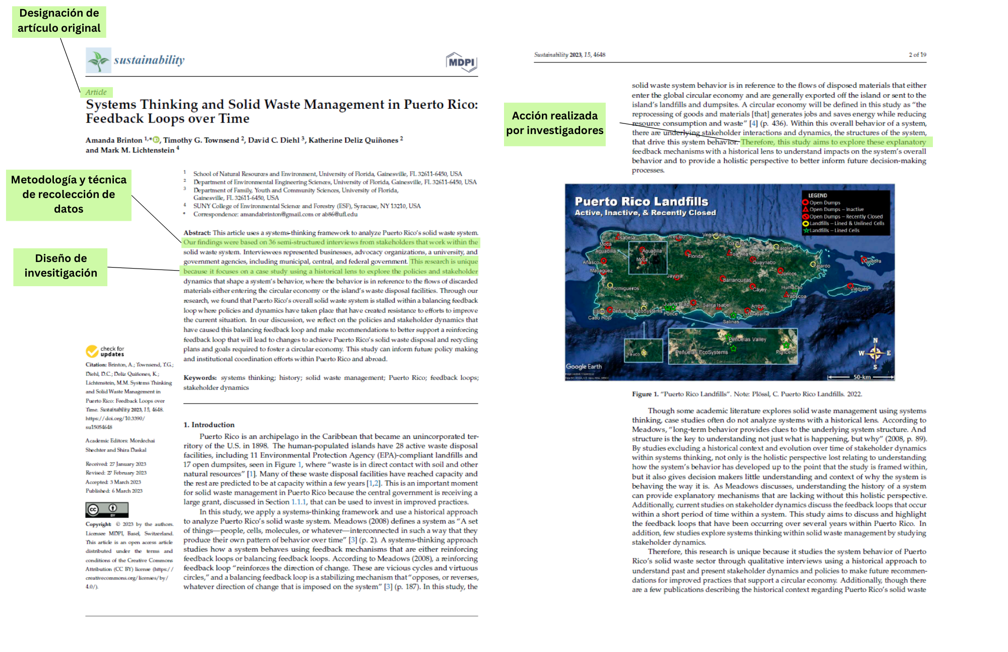 IMRAD (17 x 11 in) (1)