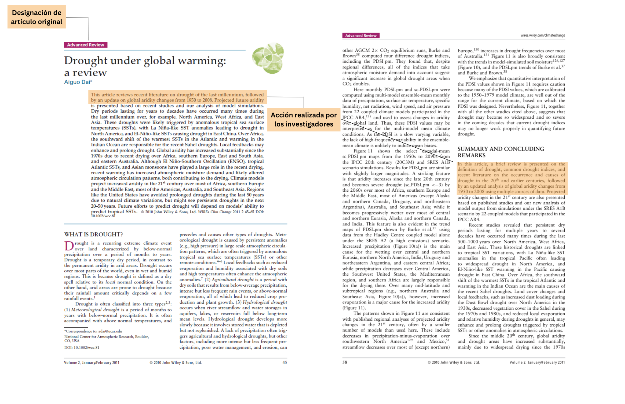 IMRAD (17 x 11 in) (2)