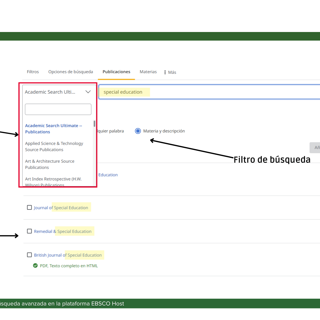 Ejemplo de formulario para buscar publicaciones dentro del indice de la base de datos