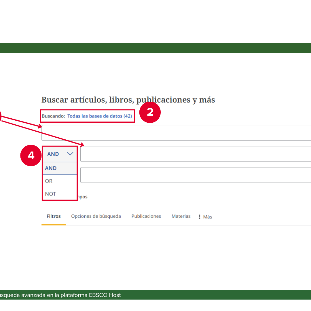 Formulario de búsqueda avanzada de una base de datos con campos, operadores booleanos y filtros para limitar resultados