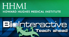 Howard Hughes Medical Institute: Biointeractive