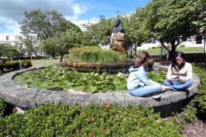 Imagen de estudiantes en la Fuente UPR Cayey