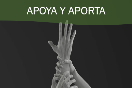 Imagen manos ayudando