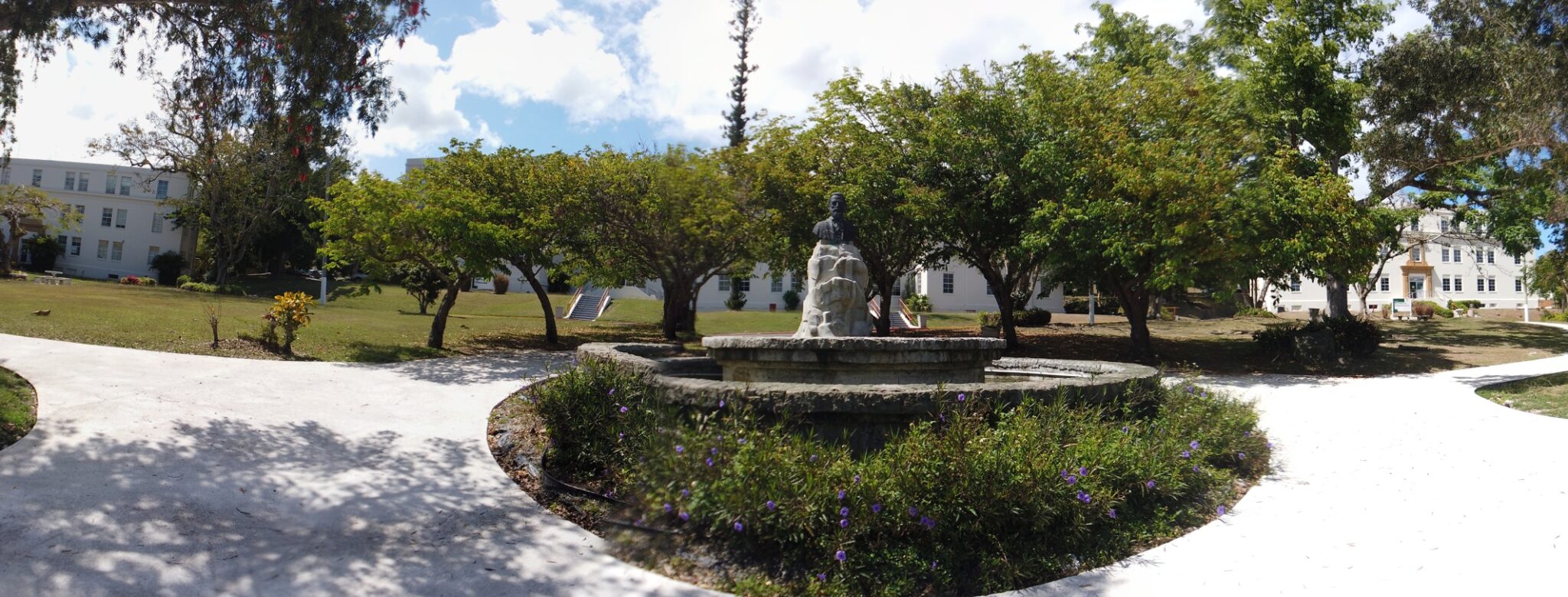 Nuevo Banner Principal