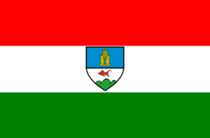 Imagen de la bandera de la UPR Cayey