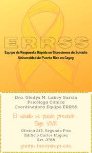 Imangen de infomración de ERRSS INFO