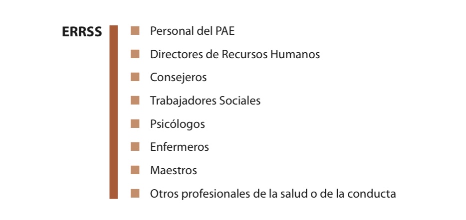 Imagen De diagrama con personal de apoyo al ERRSS