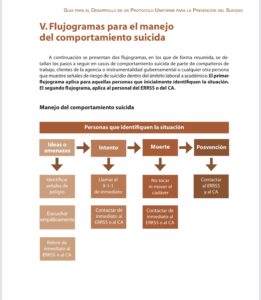 Imagen del Flujograma del ERRSS
