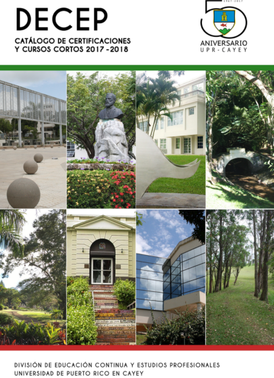 Imagen del Catalogo de DECEP