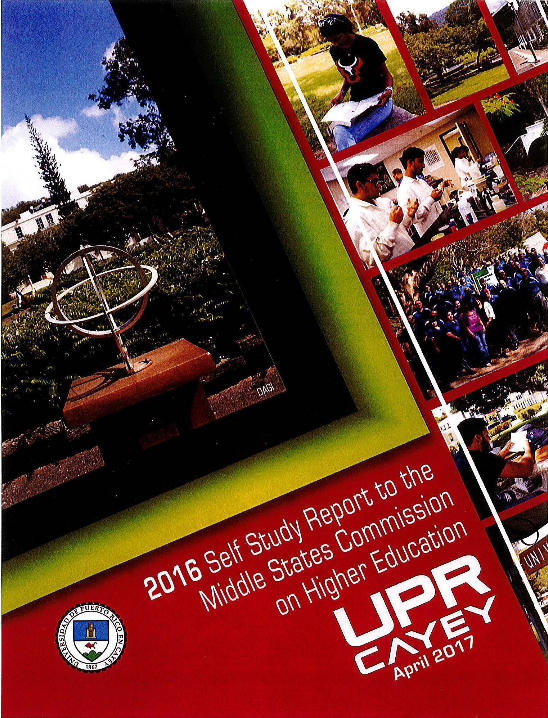 Imagen del Informe para el MSCHE