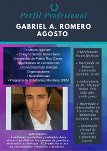 Imagen de Diseño Perfil Profesional Gabriel Romero Tutor CAETV UPR Cayey Septiembre 2020