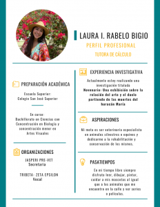 Imagen de Diseño Perfil Profesional Laura Rabelo Tutora CAETV UPR Cayey Agosto 2020