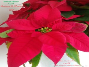 Imagen CAETV Invitación Pascua Diciembre 2018