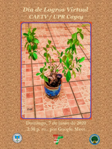 Imagen Invitación Día de Logros Virtual CAE TV Junio 2020